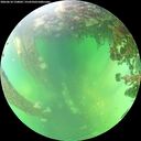 ./images/calvert/underwater/20260610/underwater20260610_150002M.jpg