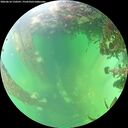 ./images/calvert/underwater/20260610/underwater20260610_150501M.jpg