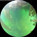 ./images/calvert/underwater/20260610/underwater20260610_151001M.jpg