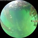 ./images/calvert/underwater/20260610/underwater20260610_151501M.jpg