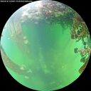 ./images/calvert/underwater/20260610/underwater20260610_152002M.jpg
