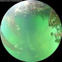 ./images/calvert/underwater/20260610/underwater20260610_152501M.jpg