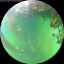 ./images/calvert/underwater/20260610/underwater20260610_153001M.jpg