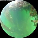 ./images/calvert/underwater/20260610/underwater20260610_153501M.jpg