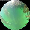 ./images/calvert/underwater/20260610/underwater20260610_154002M.jpg