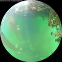 ./images/calvert/underwater/20260610/underwater20260610_154501M.jpg