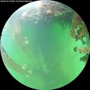 ./images/calvert/underwater/20260610/underwater20260610_155001M.jpg