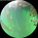 ./images/calvert/underwater/20260610/underwater20260610_155501M.jpg