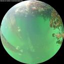 ./images/calvert/underwater/20260610/underwater20260610_160002M.jpg