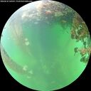 ./images/calvert/underwater/20260610/underwater20260610_160501M.jpg