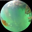 ./images/calvert/underwater/20260610/underwater20260610_161001M.jpg