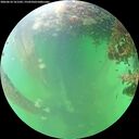 ./images/calvert/underwater/20260610/underwater20260610_161501M.jpg
