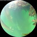 ./images/calvert/underwater/20260610/underwater20260610_162001M.jpg