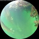 ./images/calvert/underwater/20260610/underwater20260610_162502M.jpg