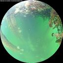 ./images/calvert/underwater/20260610/underwater20260610_163001M.jpg