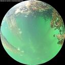 ./images/calvert/underwater/20260610/underwater20260610_163501M.jpg