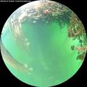 ./images/calvert/underwater/20260610/underwater20260610_164001M.jpg