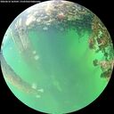 ./images/calvert/underwater/20260610/underwater20260610_164502M.jpg