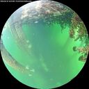 ./images/calvert/underwater/20260610/underwater20260610_165501M.jpg