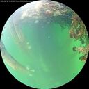 ./images/calvert/underwater/20260610/underwater20260610_171502M.jpg