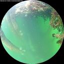 ./images/calvert/underwater/20260610/underwater20260610_172001M.jpg