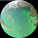 ./images/calvert/underwater/20260610/underwater20260610_173501M.jpg