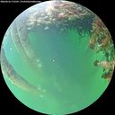 ./images/calvert/underwater/20260610/underwater20260610_175501M.jpg