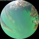 ./images/calvert/underwater/20260610/underwater20260610_180501M.jpg