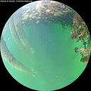 ./images/calvert/underwater/20260610/underwater20260610_181001M.jpg