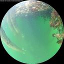 ./images/calvert/underwater/20260610/underwater20260610_181502M.jpg