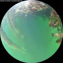 ./images/calvert/underwater/20260610/underwater20260610_183001M.jpg
