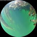 ./images/calvert/underwater/20260610/underwater20260610_184501M.jpg