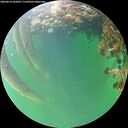 ./images/calvert/underwater/20260610/underwater20260610_185001M.jpg