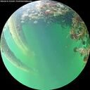 ./images/calvert/underwater/20260610/underwater20260610_191001M.jpg