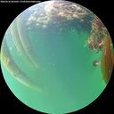 ./images/calvert/underwater/20260610/underwater20260610_201001M.jpg