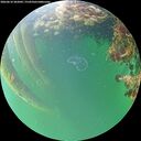 ./images/calvert/underwater/20260610/underwater20260610_202001M.jpg