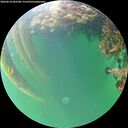 ./images/calvert/underwater/20260610/underwater20260610_202501M.jpg