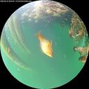 ./images/calvert/underwater/20260610/underwater20260610_203501M.jpg