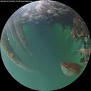 ./images/calvert/underwater/20260610/underwater20260610_215001M.jpg