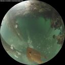 ./images/calvert/underwater/20260611/underwater20260611_052001M.jpg