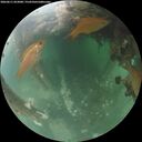 ./images/calvert/underwater/20260611/underwater20260611_053001M.jpg