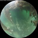 ./images/calvert/underwater/20260611/underwater20260611_054001M.jpg