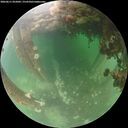 ./images/calvert/underwater/20260611/underwater20260611_055001M.jpg