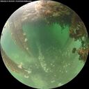 ./images/calvert/underwater/20260611/underwater20260611_055501M.jpg