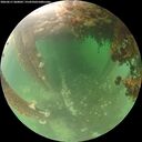 ./images/calvert/underwater/20260611/underwater20260611_060002M.jpg