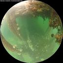 ./images/calvert/underwater/20260611/underwater20260611_060501M.jpg