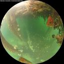 ./images/calvert/underwater/20260611/underwater20260611_061001M.jpg