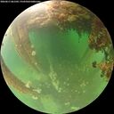 ./images/calvert/underwater/20260611/underwater20260611_061501M.jpg