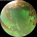 ./images/calvert/underwater/20260611/underwater20260611_062501M.jpg