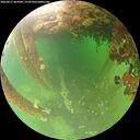 ./images/calvert/underwater/20260611/underwater20260611_063001M.jpg